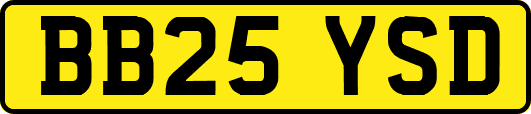 BB25YSD