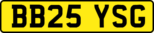 BB25YSG