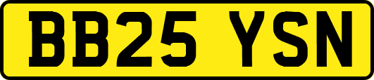 BB25YSN