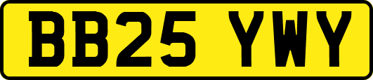 BB25YWY