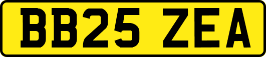 BB25ZEA