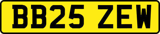BB25ZEW
