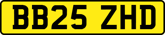 BB25ZHD