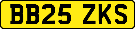 BB25ZKS