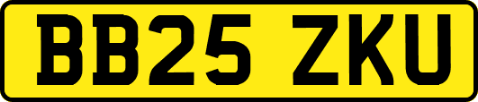 BB25ZKU