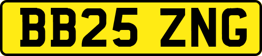 BB25ZNG