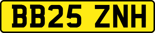BB25ZNH