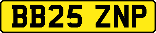 BB25ZNP