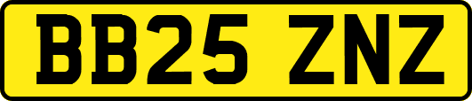 BB25ZNZ