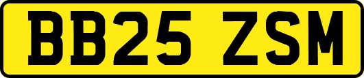 BB25ZSM