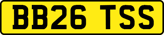 BB26TSS