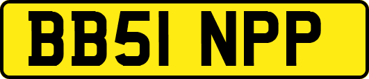 BB51NPP