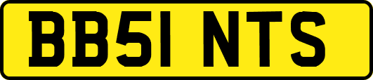 BB51NTS