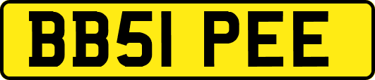 BB51PEE