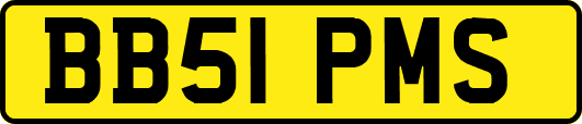 BB51PMS