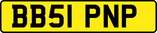 BB51PNP