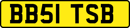 BB51TSB