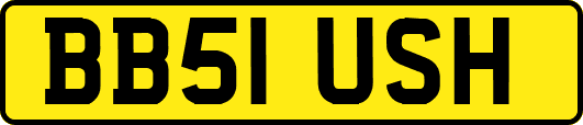 BB51USH