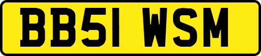 BB51WSM