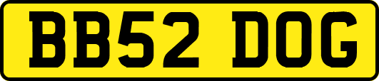BB52DOG