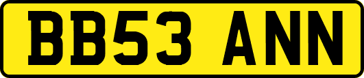 BB53ANN