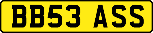 BB53ASS