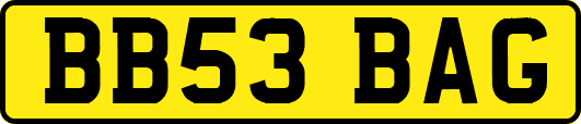 BB53BAG