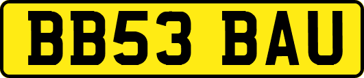 BB53BAU