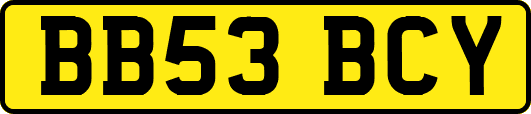 BB53BCY