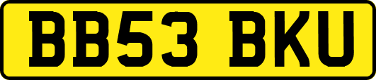 BB53BKU