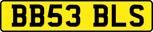 BB53BLS
