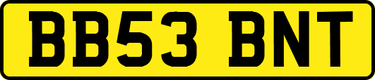 BB53BNT