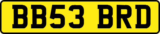 BB53BRD