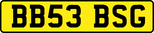 BB53BSG