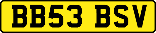 BB53BSV