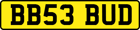 BB53BUD