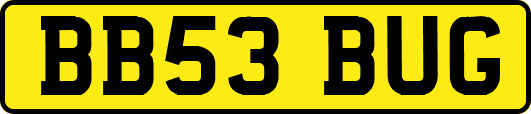 BB53BUG