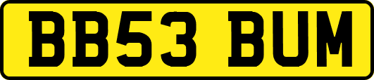 BB53BUM