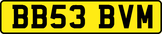 BB53BVM