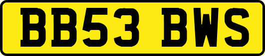 BB53BWS