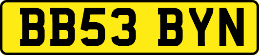 BB53BYN