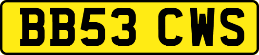 BB53CWS