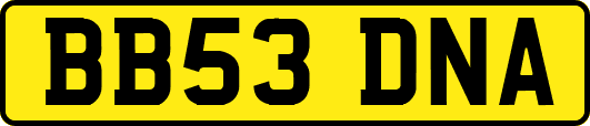BB53DNA
