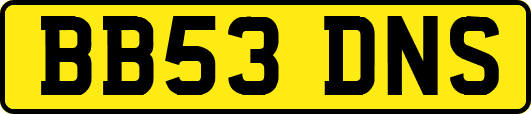 BB53DNS