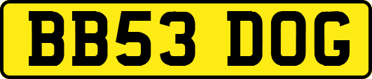 BB53DOG