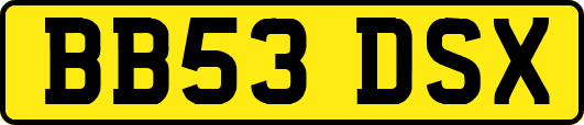 BB53DSX