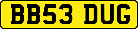 BB53DUG