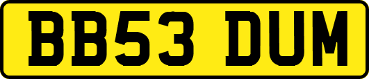 BB53DUM