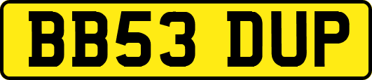BB53DUP