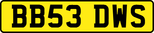 BB53DWS